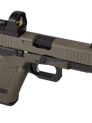CUSTOM GUN 2019