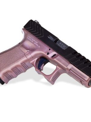 CUSTOM GUN 2019