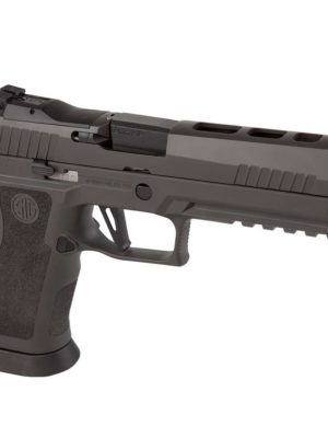 CUSTOM GUN 2020 #20