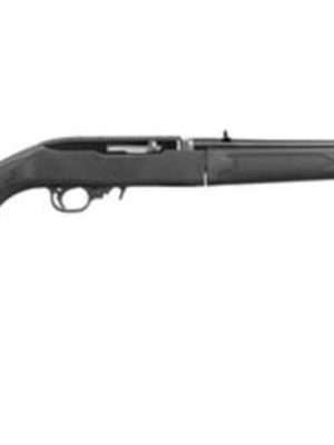 Ruger 10/22 Takedown 22LR Threaded Barrel and Flash Hider, 10 Rnd Mag