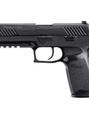 Sig Sauer P320 Nitron Contrast Sights